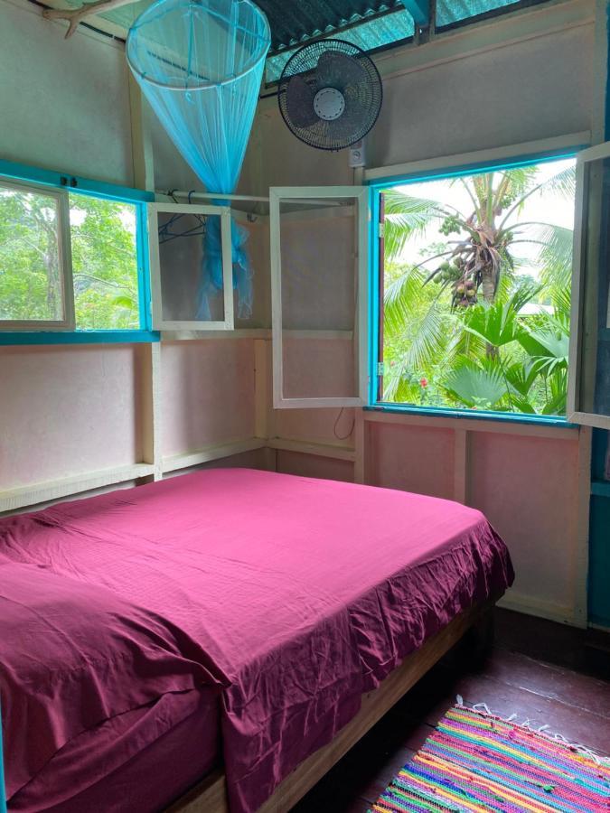 Séjour chez l'habitant Hidden Jungle House Puerto Viejo de Talamanca