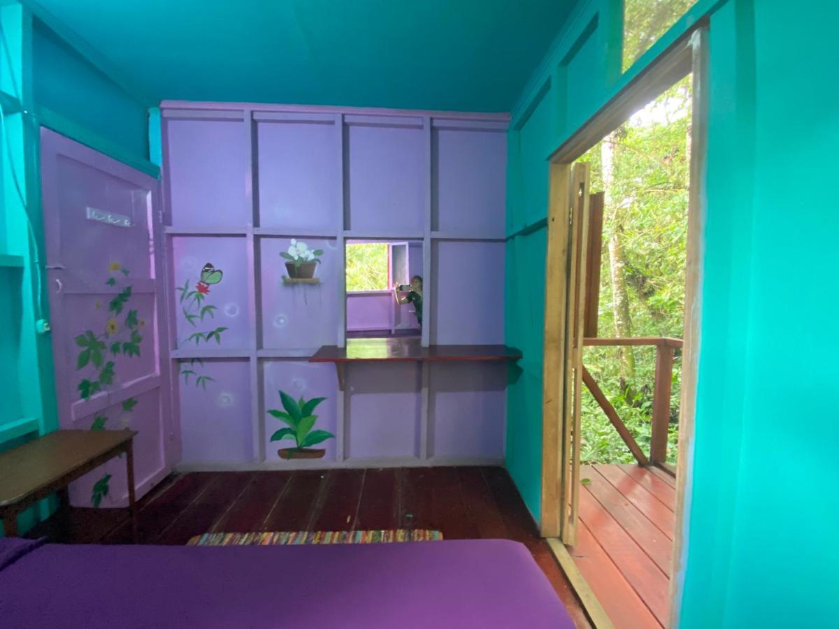 Séjour chez l'habitant Hidden Jungle House *