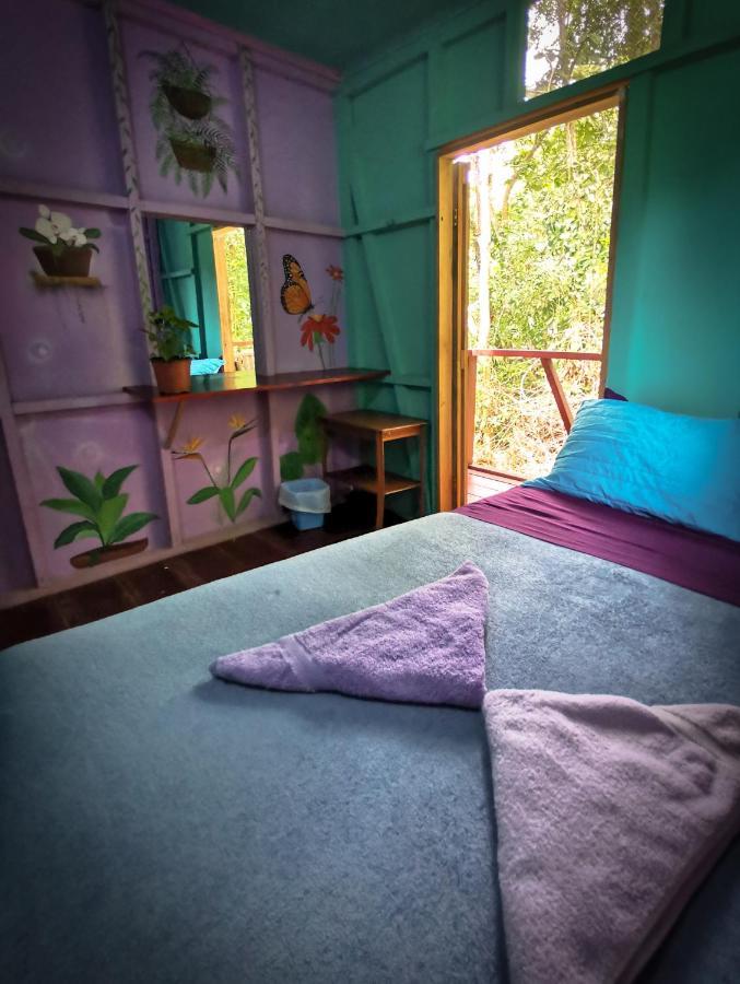Hidden Jungle House Séjour chez l'habitant Puerto Viejo de Talamanca
