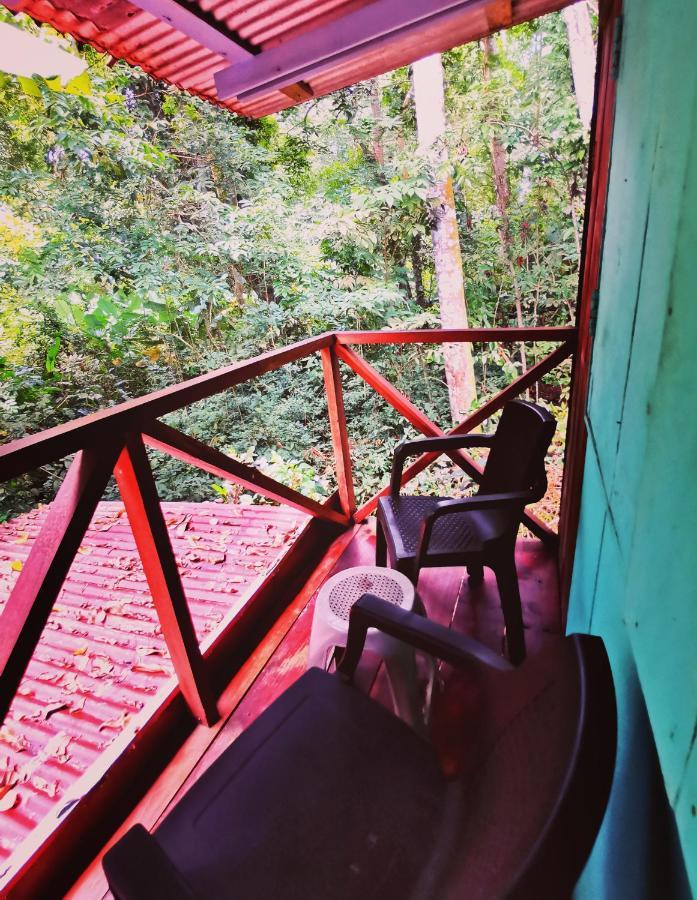 Hidden Jungle House Habitación en casa particular Puerto Viejo de Talamanca