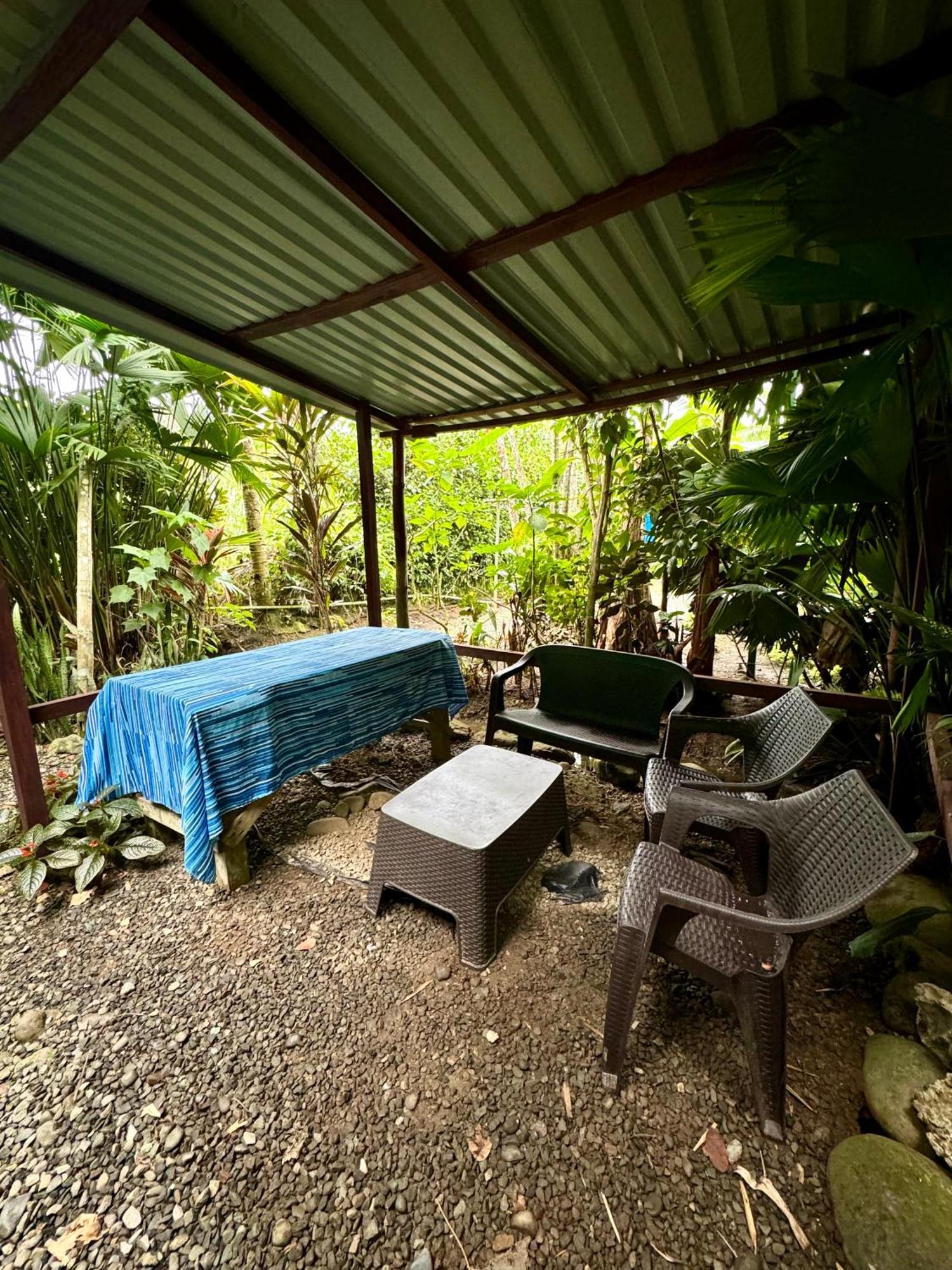 Séjour chez l'habitant Hidden Jungle House Puerto Viejo de Talamanca