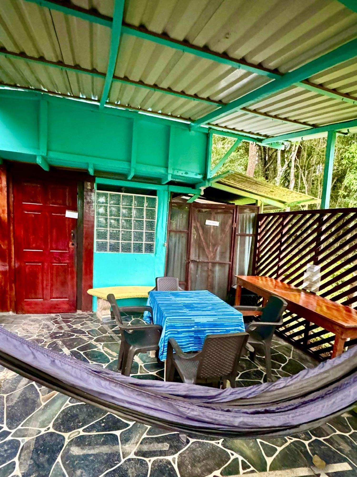 Séjour chez l'habitant Hidden Jungle House