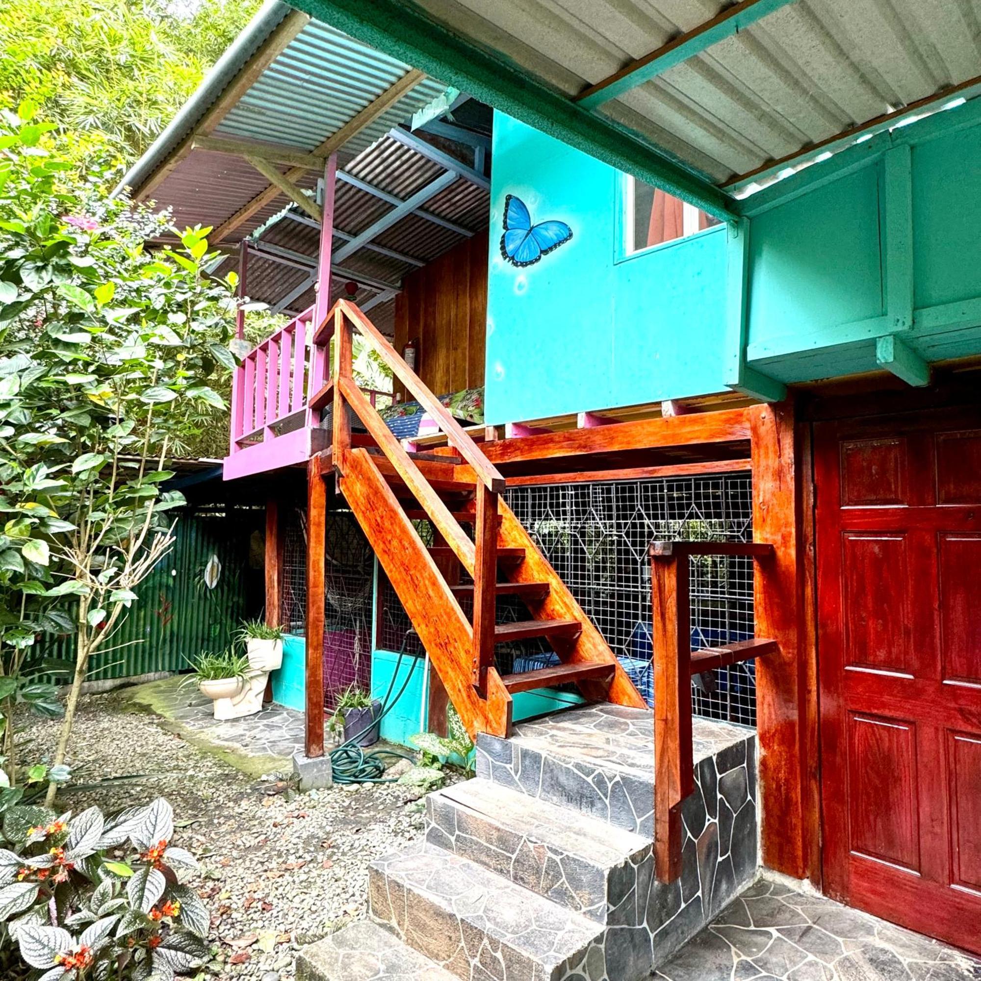 Hidden Jungle House Séjour chez l'habitant