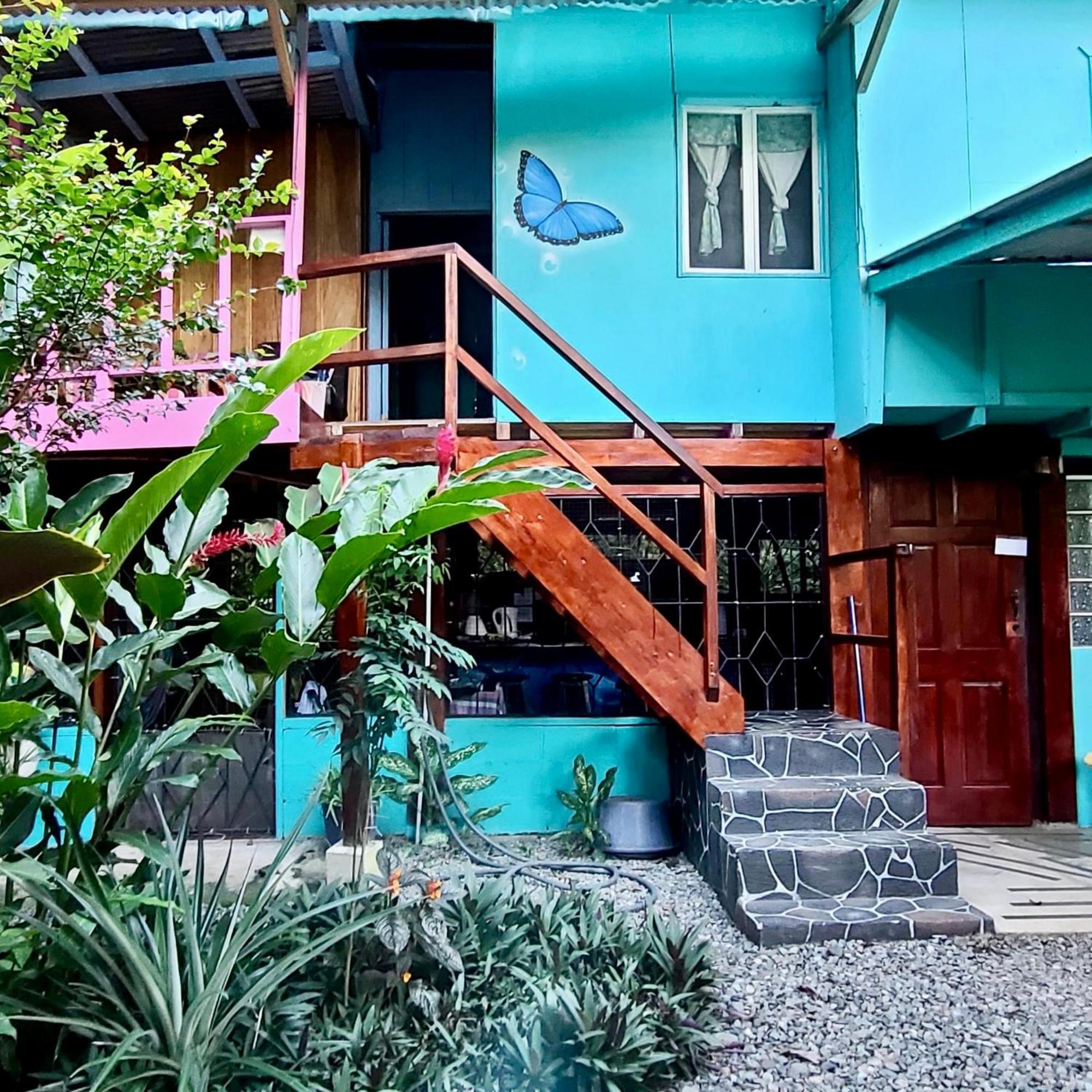 Séjour chez l'habitant Hidden Jungle House *