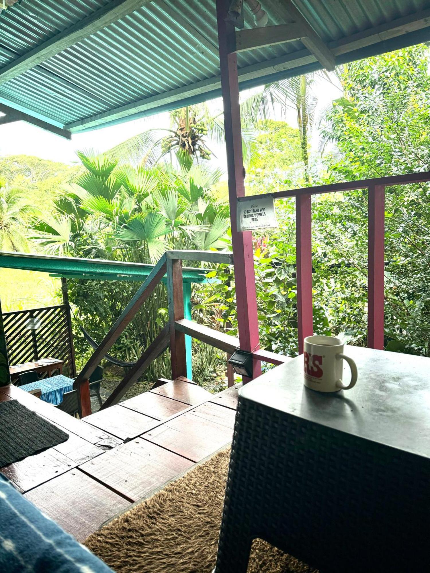 Séjour chez l'habitant Hidden Jungle House