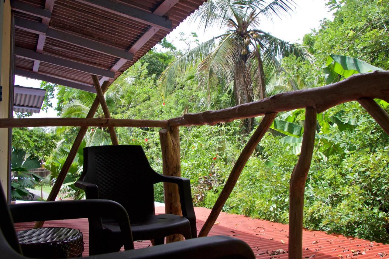 Séjour chez l'habitant Hidden Jungle House